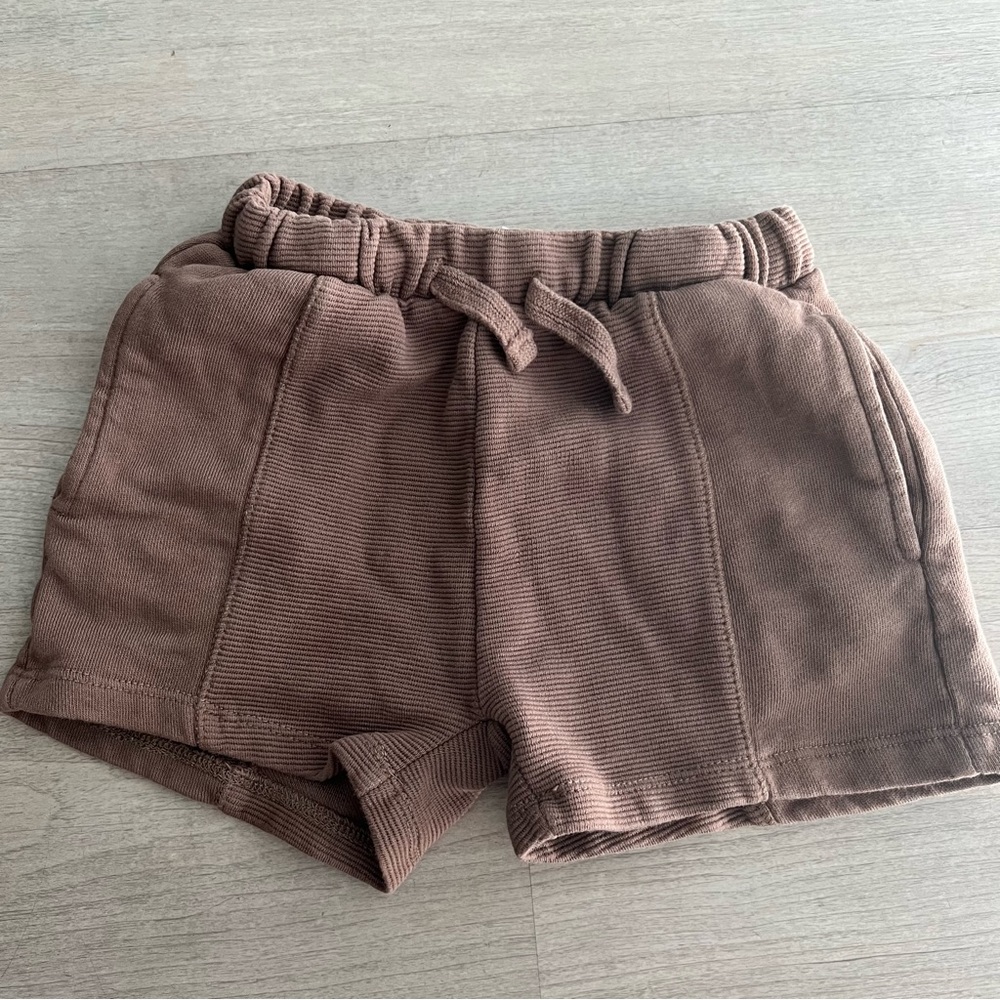 Zara shorts